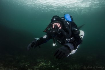 47176688_2221657534772436_7911776779428167680_n