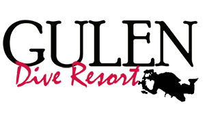 Gulen 2019