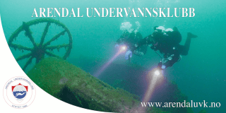 Arendal logo